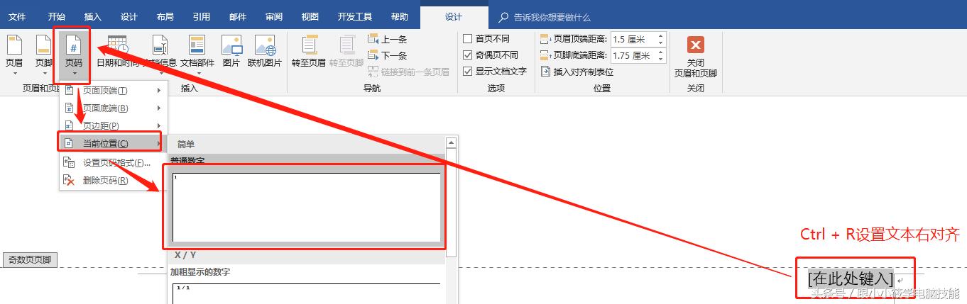 Word文档中页码怎么设置（在word文档里怎么设置连续的页码）(13)