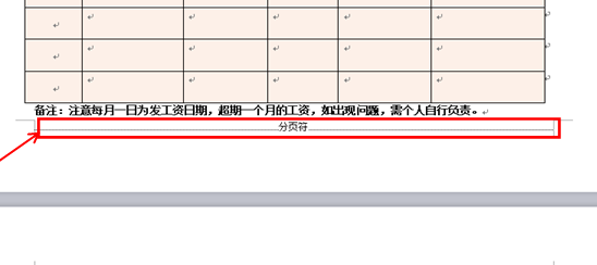 wps文字空白页怎么删除（wps文字多了一个空白页面怎么删除）(5)