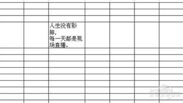 表格内换行怎么操作（如何在一个格子里打字换行）(4)