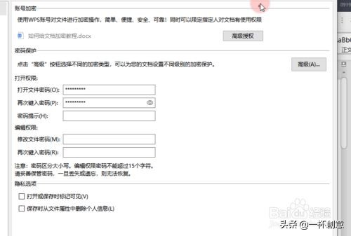wps怎么加密（wps文档加密如何设置密码）(4)
