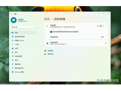 如何控制别人的电脑（如何打开windows11远程桌面）