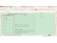 wps竖排文字怎么设置（wps怎么把单独选中的文字变成竖排）