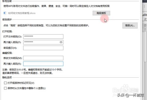 wps文档加密如何设置（Word给文档设置密码保护的方法）(3)