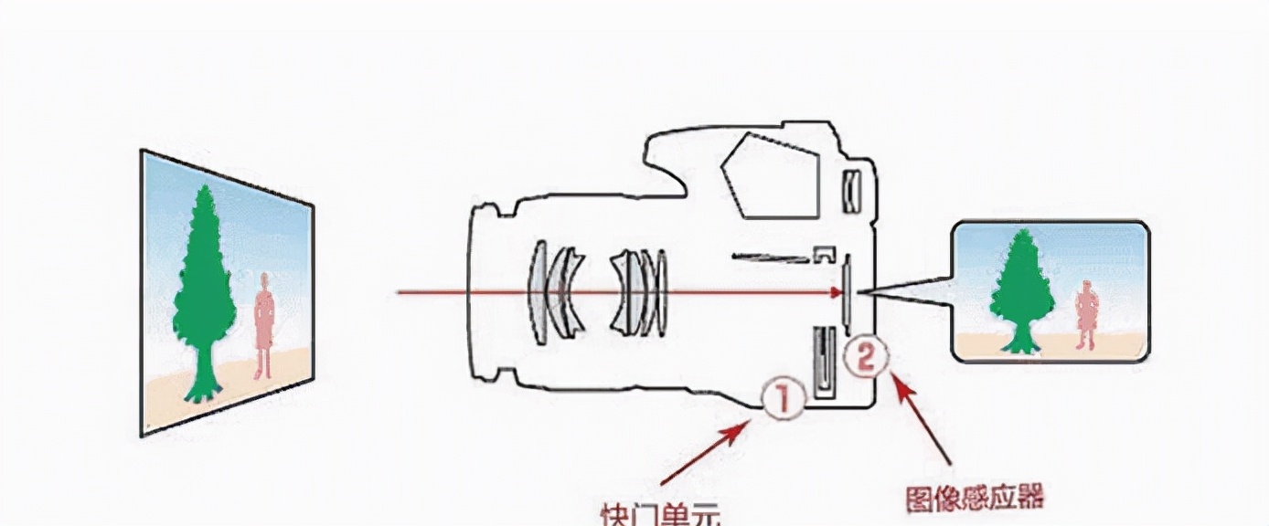 单反相机是什么意思（数码相机和单反相机有什么区别）(3)