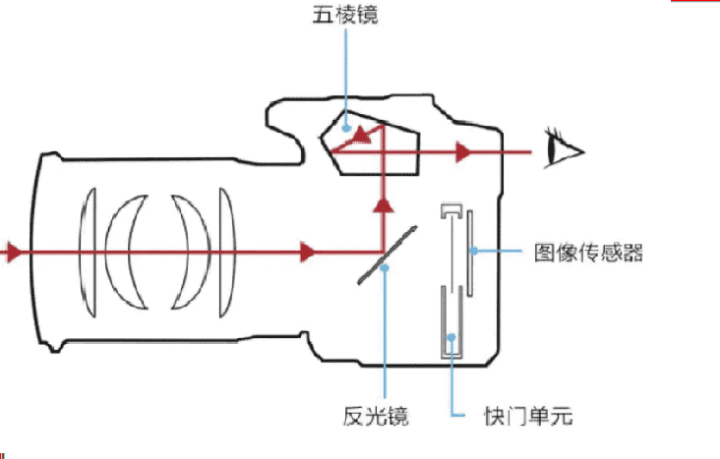 单反相机是什么意思（数码相机和单反相机有什么区别）(2)