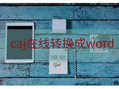 如何把caj转换成word（caj格式转换成word的方法）