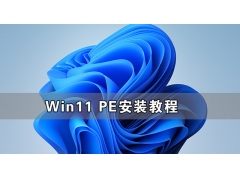 怎么在电脑上安装pe系统（PE怎么安装Windows11详细教程）