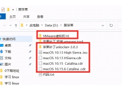 苹果电脑用虚拟机安装windows10（mac虚拟机安装win10最新方法）