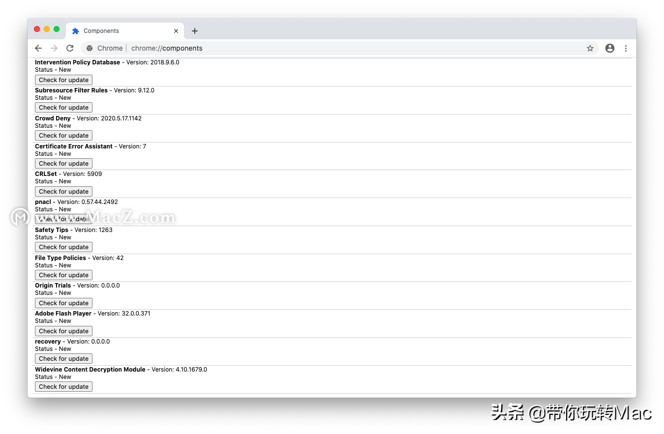 chrome如何启用flash （chrome开启flash Player的技巧）(6)