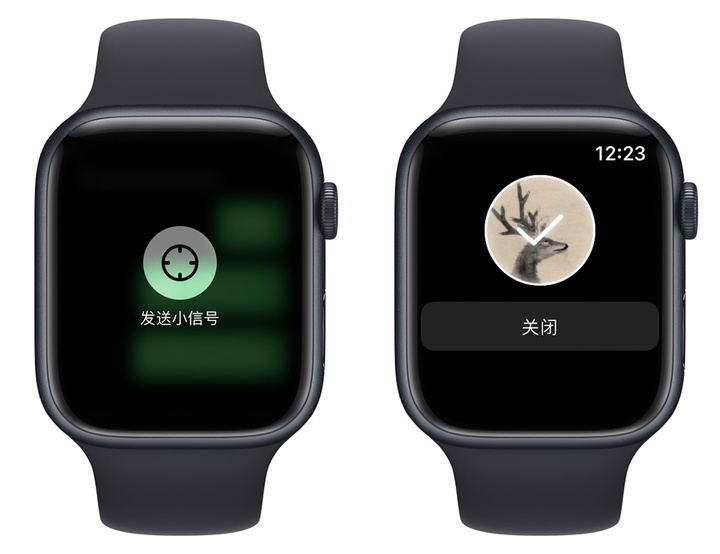 Apple Watch使用技巧（applewatch你不知道的功能）(18)