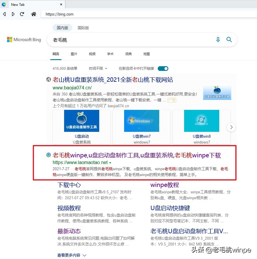 windows11在线网页体验（如何启用win11的ie浏览器）(3)