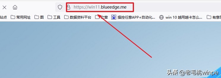 windows11在线网页体验（如何启用win11的ie浏览器）(2)