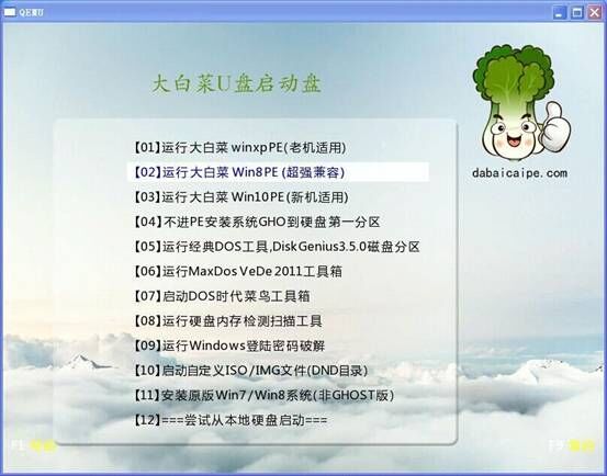 大白菜如何重装系统（大白菜重装系统步骤图解）(2)