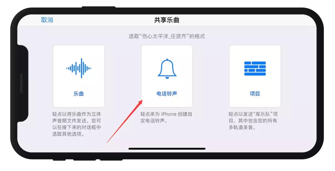苹果怎么自定义铃声（iphone设置铃声最简单的方法）(5)