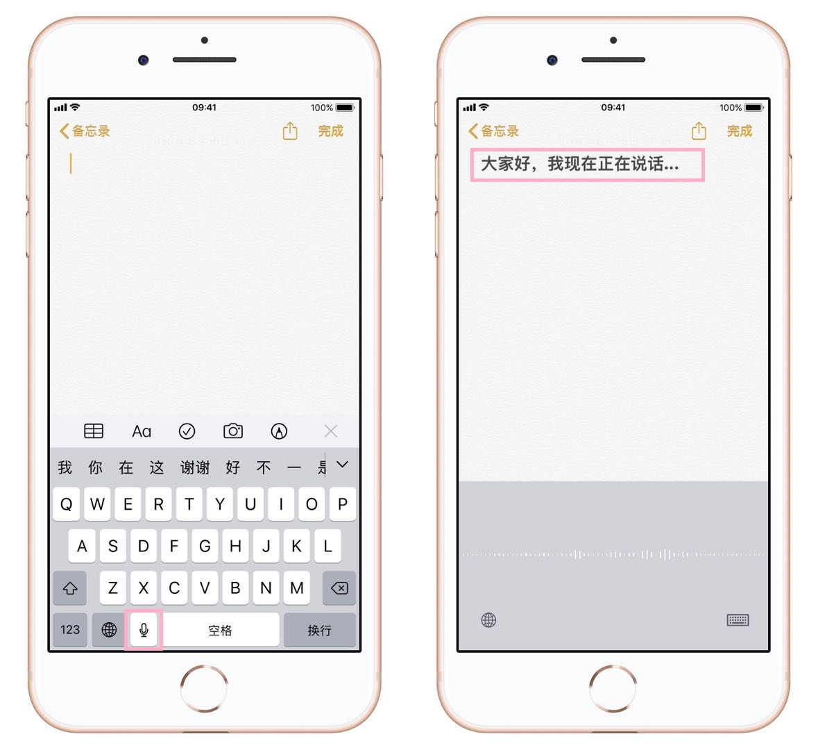 苹果手机录音转文字的方法（iphone 录音怎样转成文字）(4)
