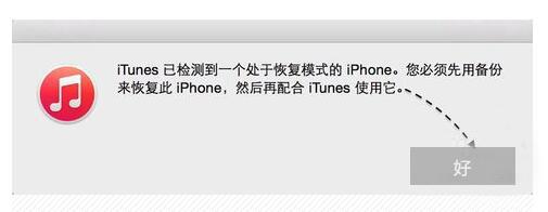 iPhone白苹果什么意思（苹果手机出现白苹果如何恢复）(3)