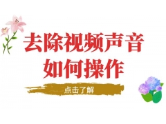 网页打开视频有人声音怎么办（如何将视频中的人声去除）