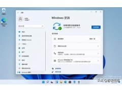 windows11怎么卸载更新（如何删除win11的升级包）
