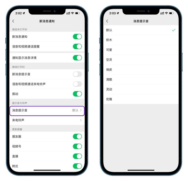 苹果x如何自定义铃声（ios最新修改微信提示音方法）(5)