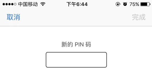 苹果pin码在哪里设置（PIN码是手机最重要的设置）(3)