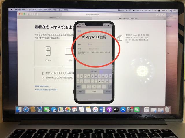 苹果记不得id怎么办（苹果手机id密码全忘了咋办）(5)