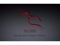 pe如何安装linux系统（安装kalilinux详细步骤）