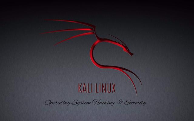 pe如何安装linux系统（安装kalilinux详细步骤）(1)