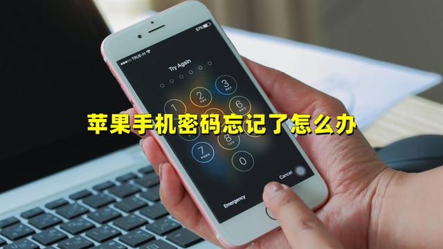 苹果手机如何解锁ID密码（苹果手机忘记密码最简单解锁方法）(1)