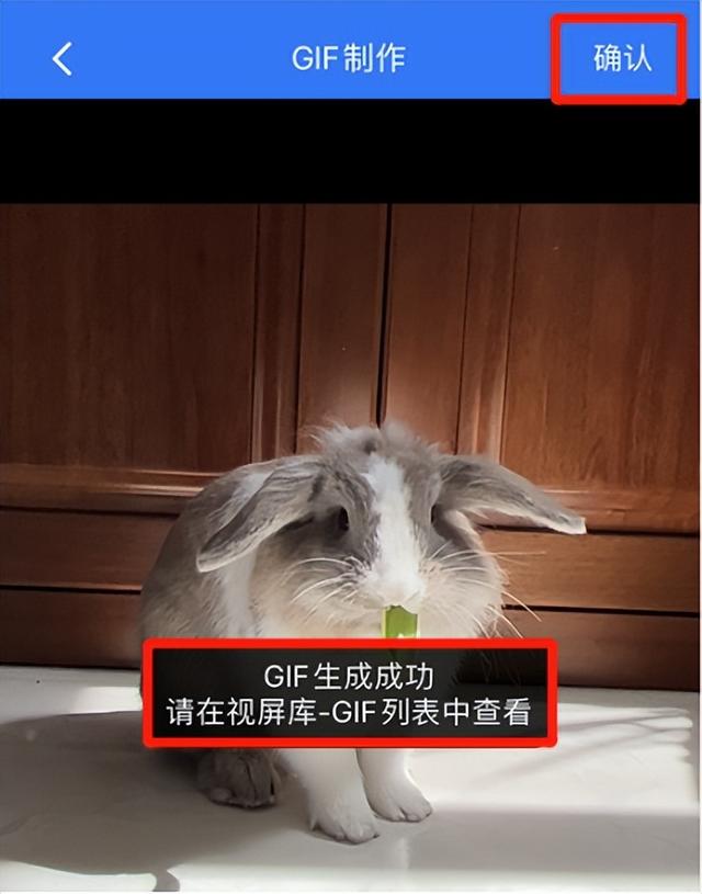 苹果怎么做gif动图（iphone如何将视频制作gif）(7)