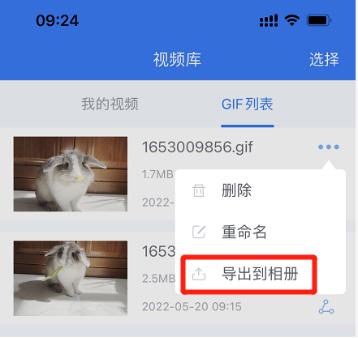 苹果怎么做gif动图（iphone如何将视频制作gif）(8)