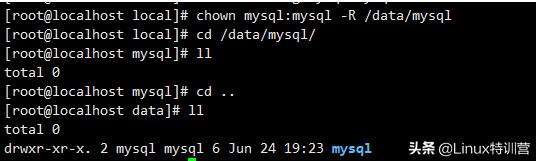 linux安装mysql命令（linux系统安装mysql最简单的方法）(8)