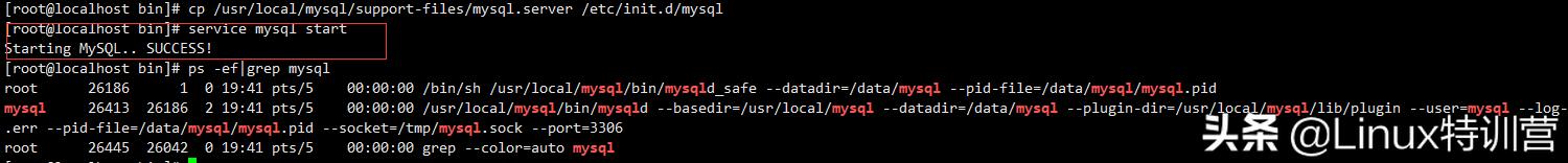 linux安装mysql命令（linux系统安装mysql最简单的方法）(11)