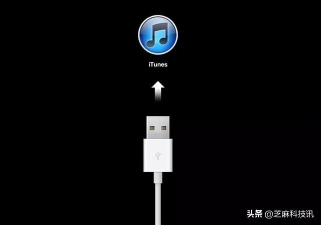 苹果如何进入dfu模式（iPhone11怎么进入DFU模式）(2)