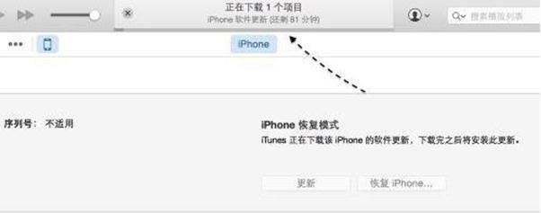 iphonexsmax怎么开机（Max忘记开机密码怎么办）(7)