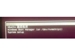 如何将ubuntu安装在u盘（ubuntu双系统手动安装教程）