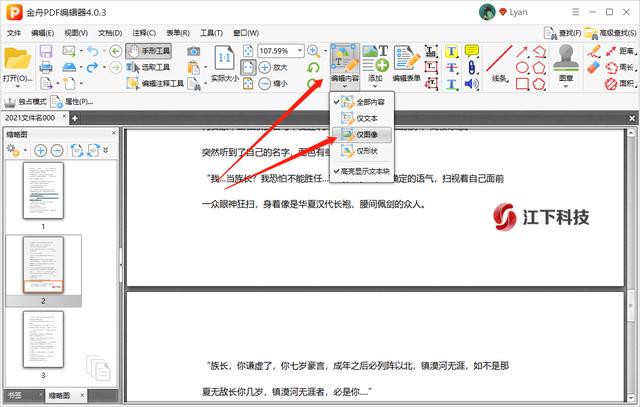 pdf修改编辑文字的方法（怎么在pdf上免费编辑文字）(5)