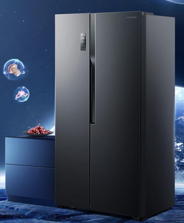 容声冰箱哪款性价比最高（容声冰箱哪款最值得买）(3)