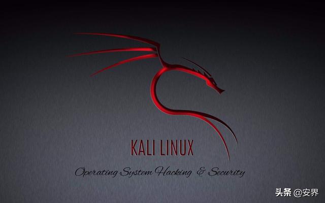pe装linux系统怎么安装（安装kalilinux详细步骤）(1)