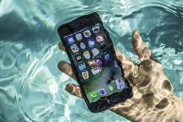苹果进了水怎么办（苹果手机进水的解决方法）(1)
