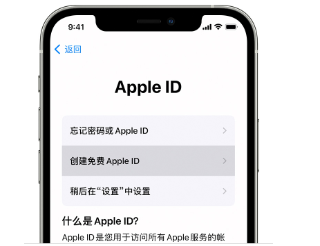 苹果id账户设置怎么填-(苹果ID账号怎么填)