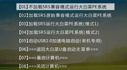 大白菜启动盘支持16gu盘-(大白菜U盘启动盘)-第13张图片-90博客网