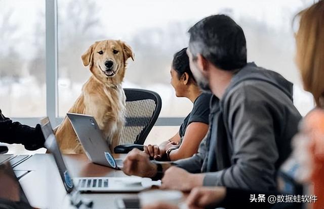 u盘打开后所有东西成乱码-(u盘里面的东西打开是乱码要怎么办呢)