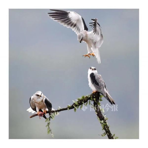 萝卜家园如何制作u盘启动盘-(萝卜家园系统u盘制作)