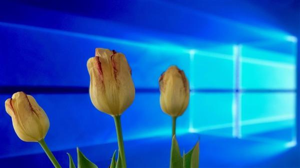 如何win81升级win10推送-(win8.1没有升级win10推送)