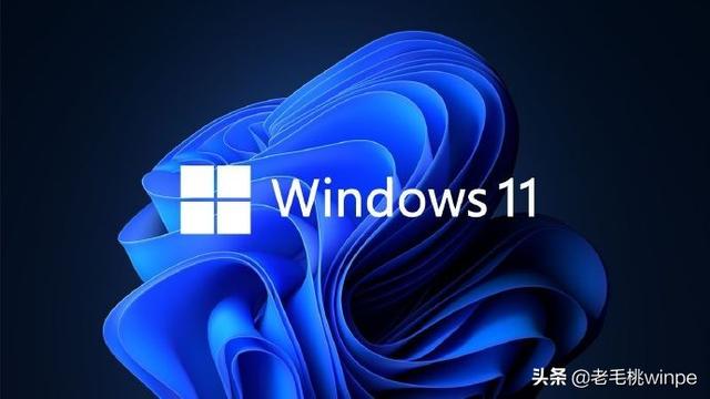 老毛桃windows通用安装器-()