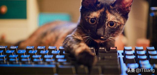 宏电脑进入bios-(电脑宏怎么打开)