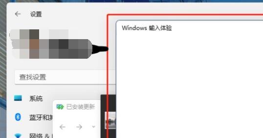 win10打字一直闪-(win10打字闪屏)