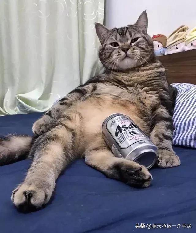 u盘驱动安装到电脑上吗-(u盘驱动安装到电脑上吗安全吗)