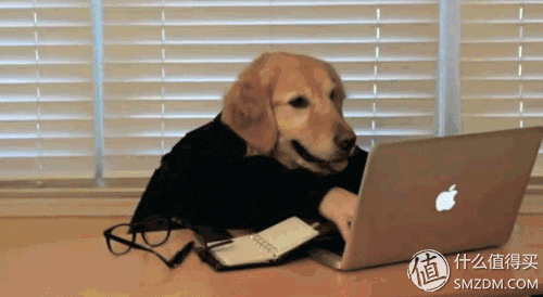 电脑上怎么知道wifi密码忘怎么办-(电脑上怎样看wifi密码忘了怎么办)