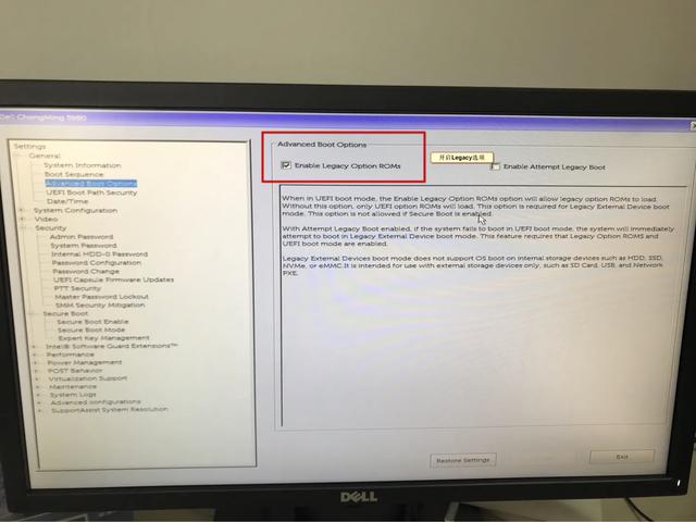 戴尔电脑进不去pe系统盘-(戴尔电脑进不去pe系统盘怎么办)
